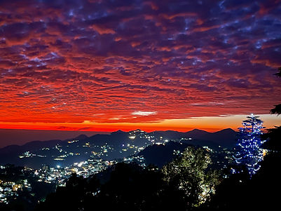 8.1 Banner Image M (1).jpeg