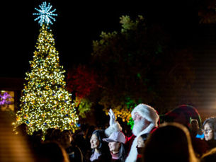 Uncovering the Unmissable: A Guide to December 2024 Events in Kingsland and St. Marys!