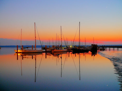 Exciting Events in Camden County This February!
