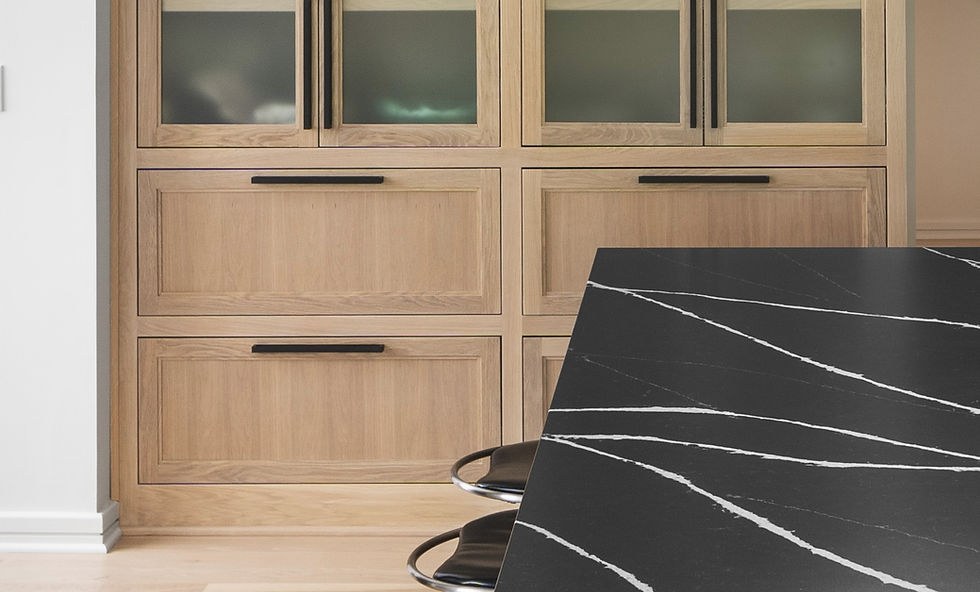 contemporary kitchen design kansas city