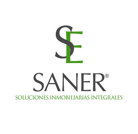 1. Logo Saner Vertical.jpg