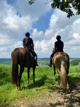 WhatsApp Image 2026-03-28 at 21.58.34.jpeg