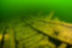 e-bok bg.jpg