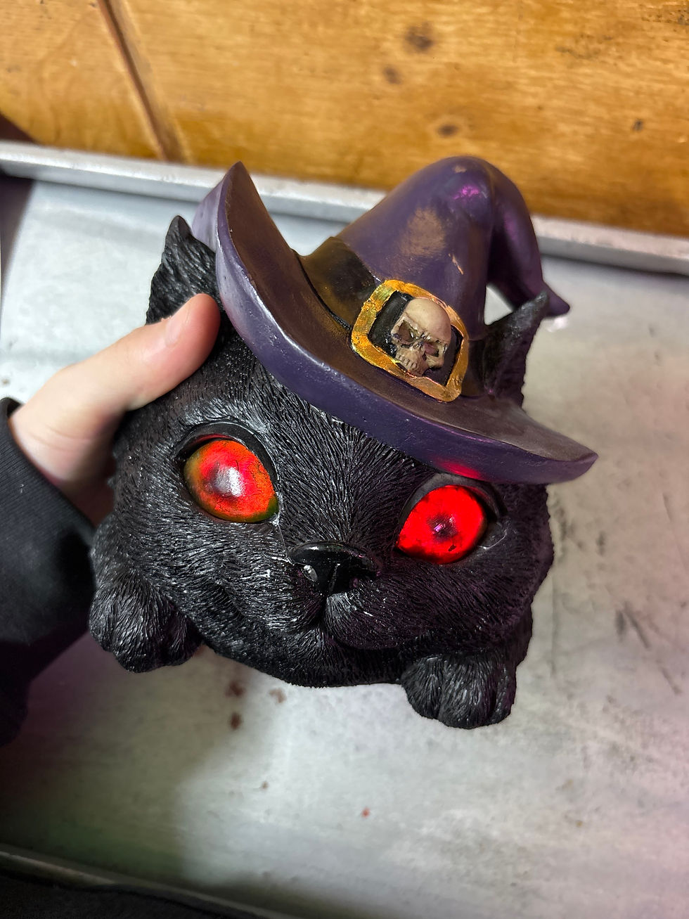 Thumbnail: Cat in witches hat