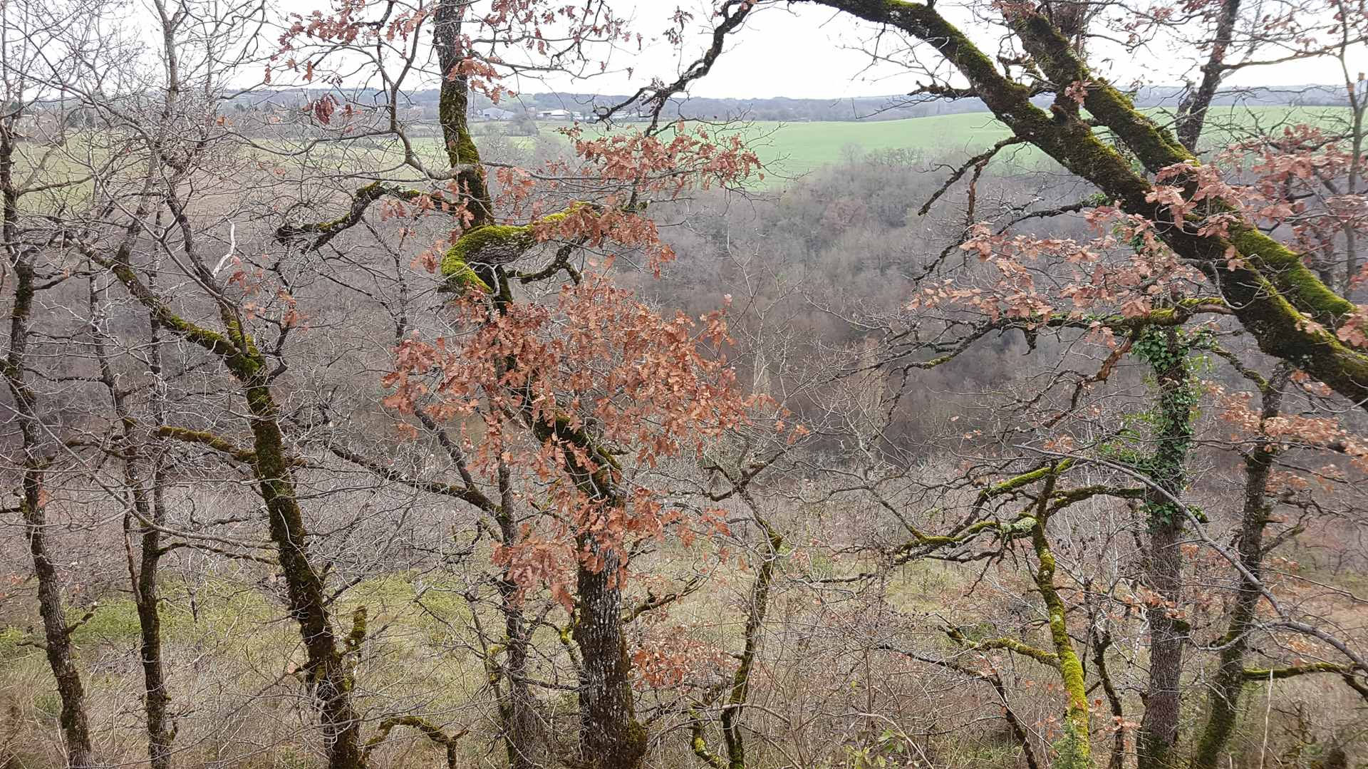 20190120_102422