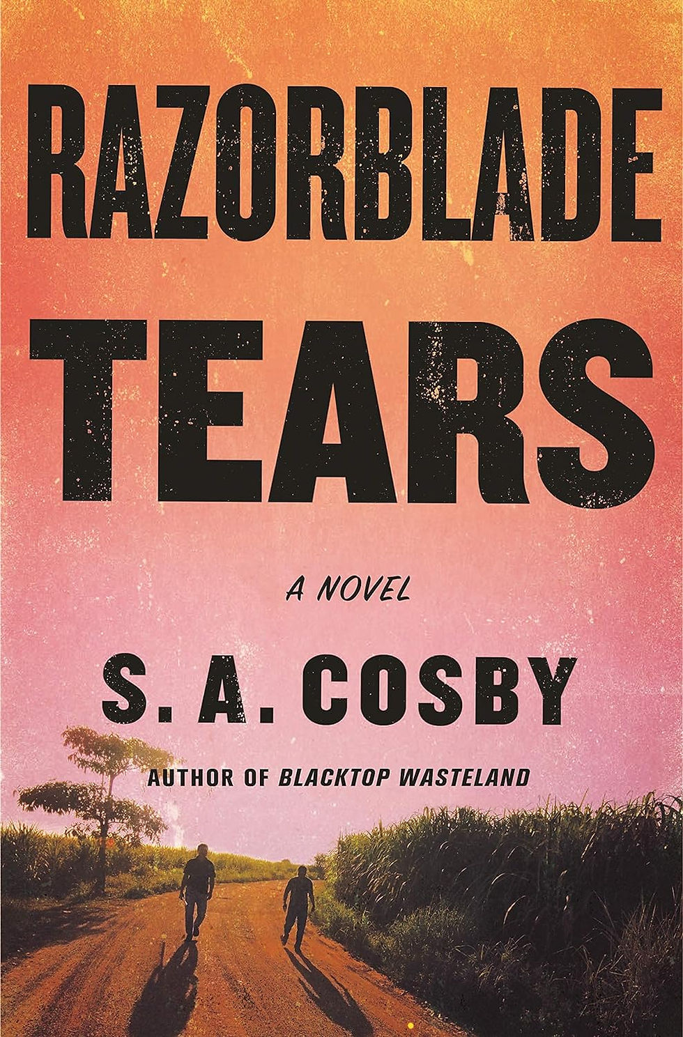 Book cover for Razorblade Tears by S.A. Cosby. Two figures walk on a dirt road at sunset, with an orange-pink sky and trees.