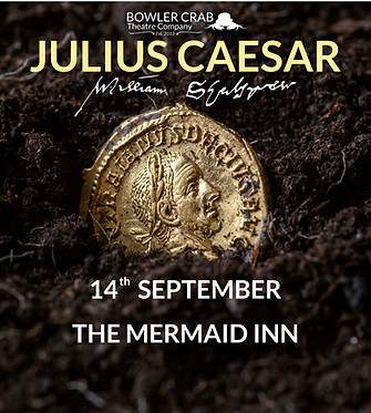 CAESAR INSTAGRAM AD MERMAID.jpg