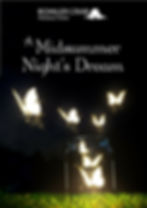 DREAM POSTER
