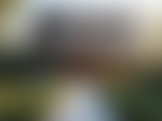 How to Choose the Right Windows for Your Home