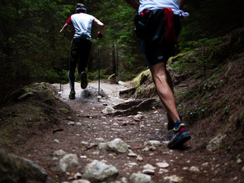 Achilles Tendinopathy