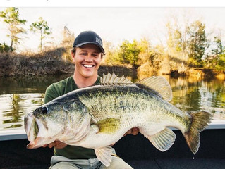 The Art of a Big Fish Picture