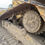Thumbnail: 2019 Caterpillar D6N LGP