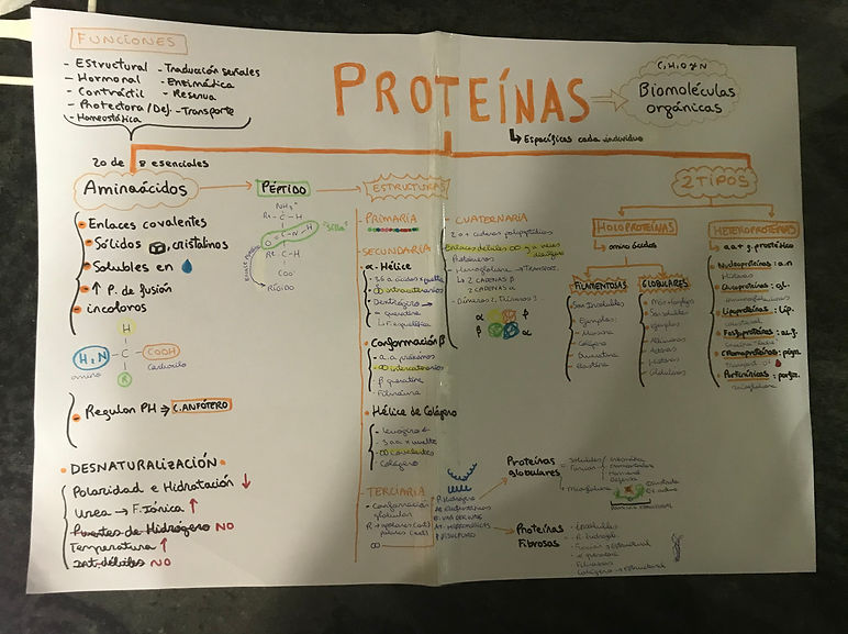 65F5E77E-B4CB-49E0-8F4A-91664FEB7F97.jpe