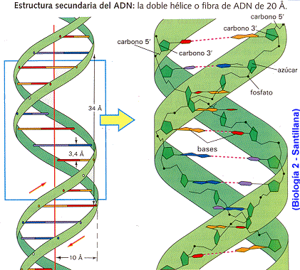 6a6a4e_60ad10d5792e462b839285c9fb4c06ec_