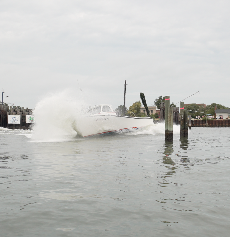 Screenshot 2024-12-08 at 7.45.08 PM.png