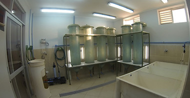 Zona cultivo alimento vivo.jpg