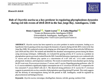 Role of oxyrrhis.png