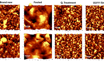 Proyecto biofouling.png