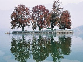 To the Bul Bul – Kashmir in Anguish