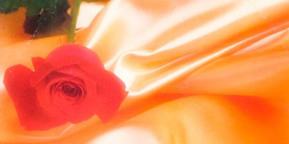 The Isley Brothers｜