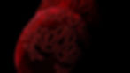 Banner%20Garnet1_edited.jpg