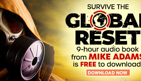 A "GLOBAL RESET" IS NOW UNDER WAY