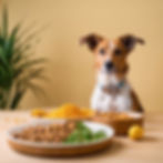 dog staying at the food.jpg