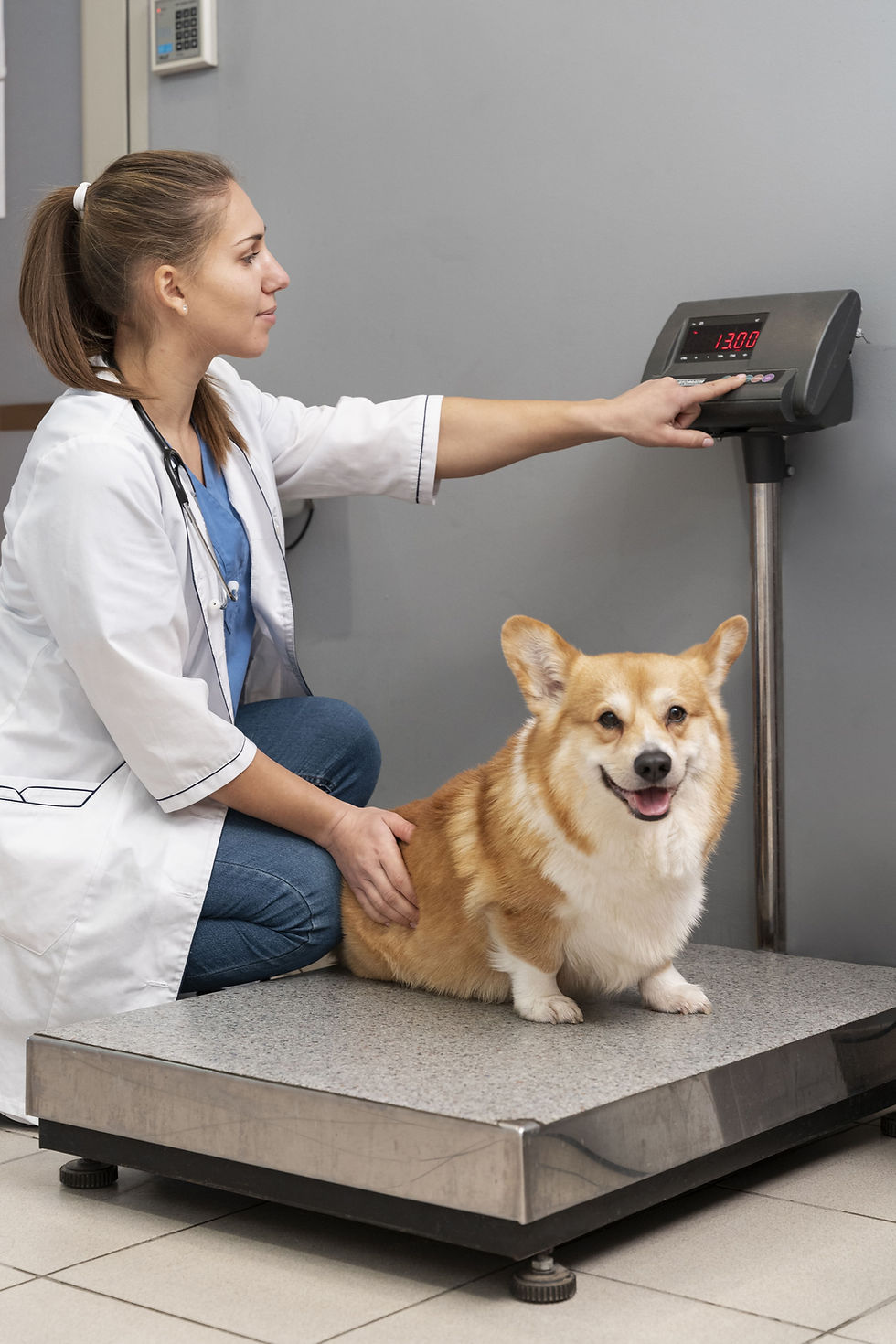 veterinarian-taking-care-pet-dog-min.jpg