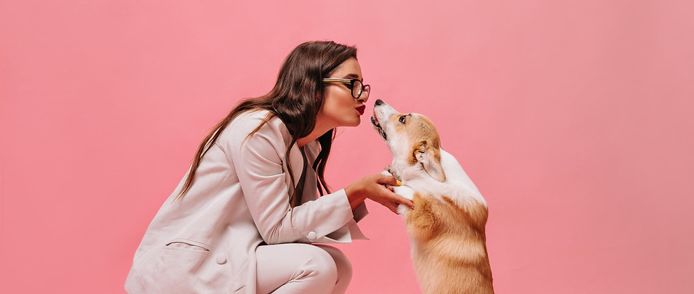 pretty-woman-beige-outfit-plays-with-dog-pink-background-cute-business-lady-stylish-suit-r