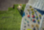 iStock-1223414780.jpg