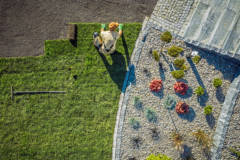 iStock-1223414780.jpg