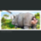 Thumbnail: Jim Carrey in Ace Ventura When Nature Calls rhino's butt wall art and coffee mug, gift for movie lover building man cave