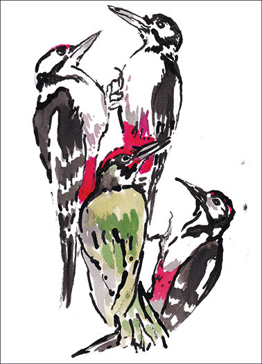 Descent of Woodpeckers