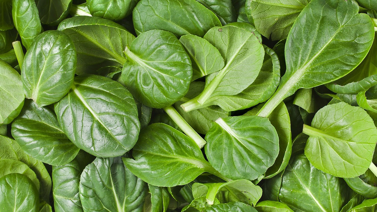 Baby Spinach - 64oz Clamshell