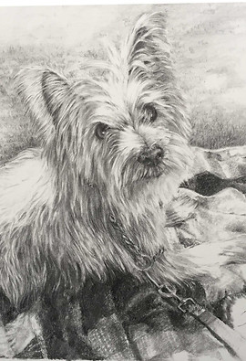 Graphite of Silky