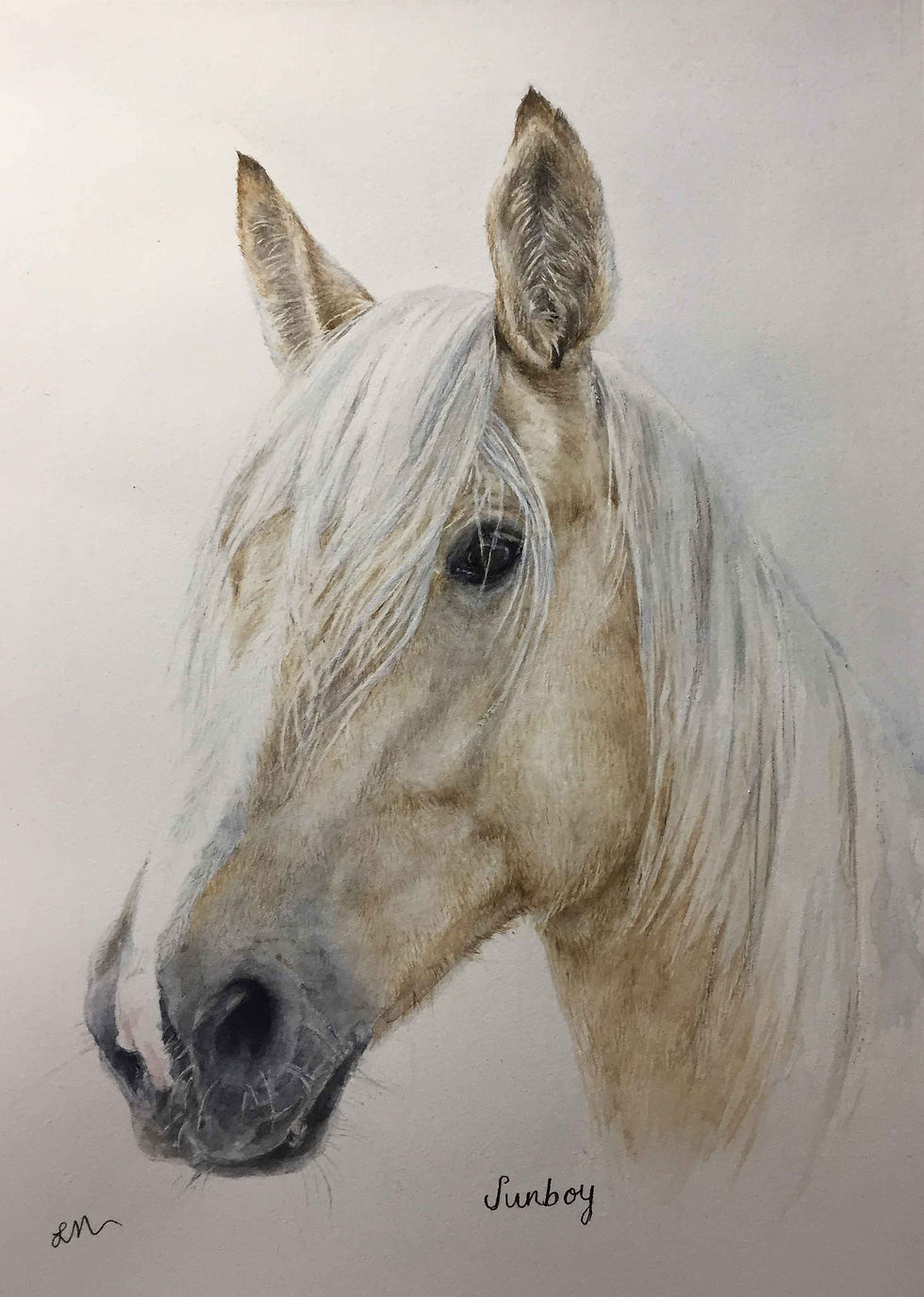 Palomino-water colour
