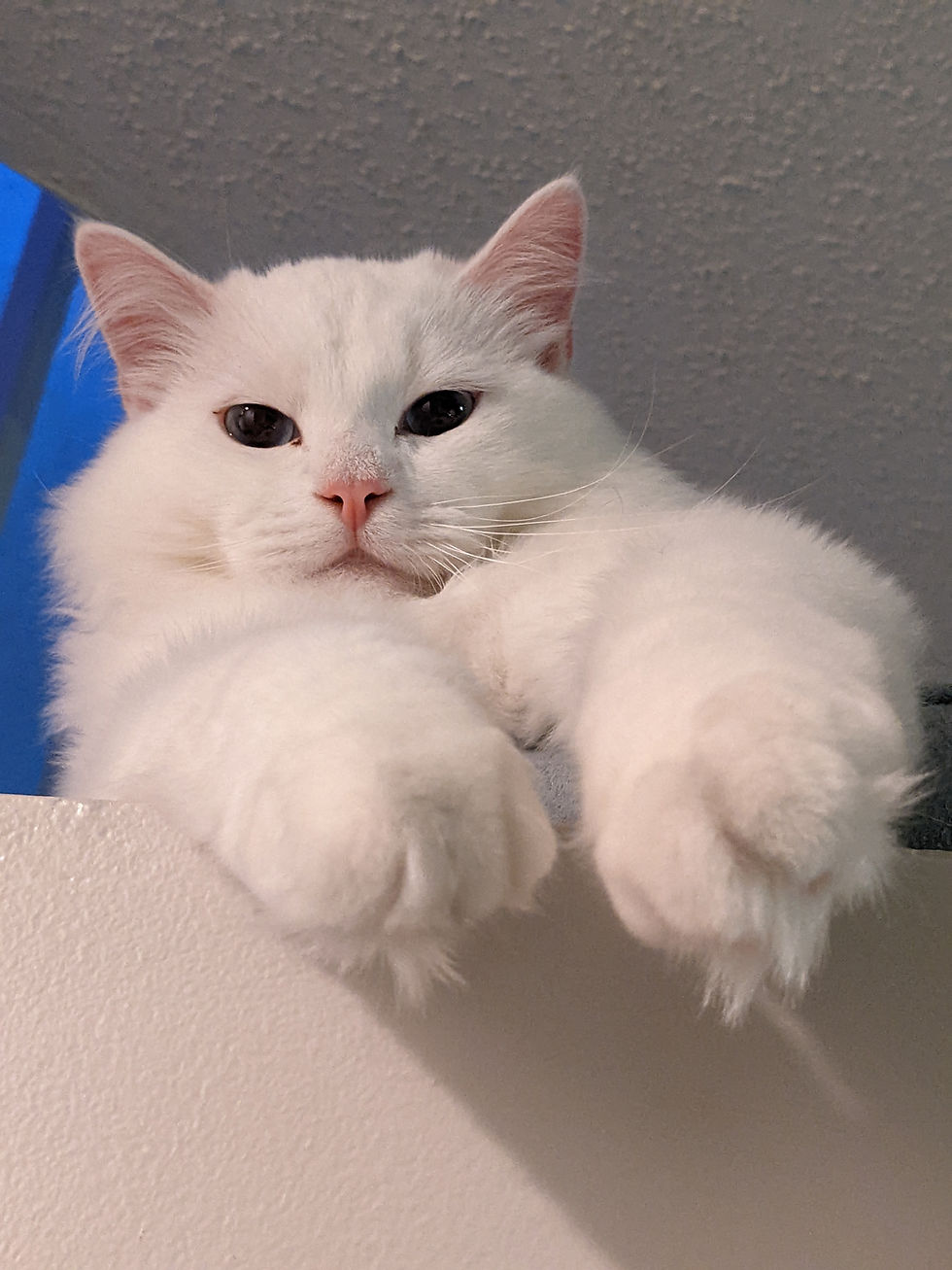 PXL_20221206_180510241