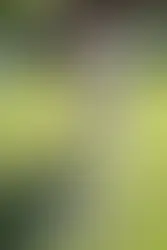 enfant qui joue lors de la chasse au trésor pirate