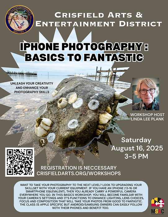 iPhone Photography Basics to Fantastic.png