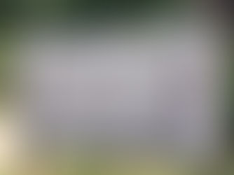 Featured Winery: Woodland Trail