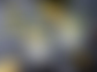 Searching for the Best Gins in Wisconsin