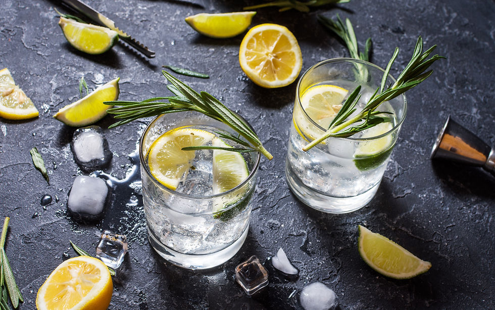 Searching for the Best Gins in Wisconsin