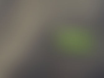 Övningstalar - Your pin to master Swedish - SpeakCharlie