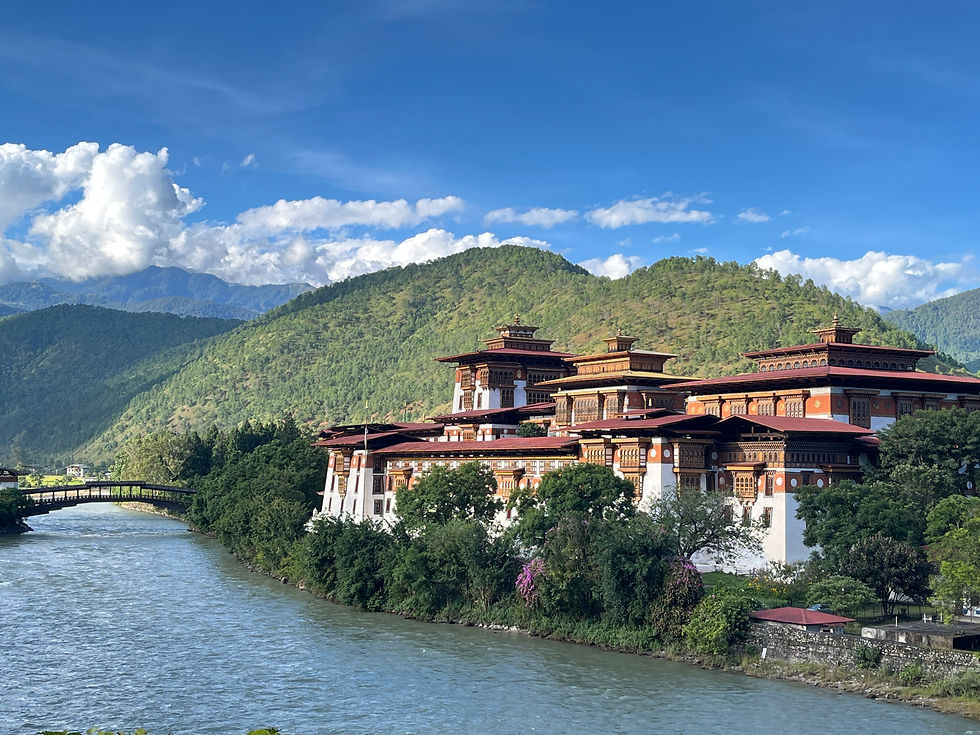 Majestic Punakha Dzong, 1230 MASL