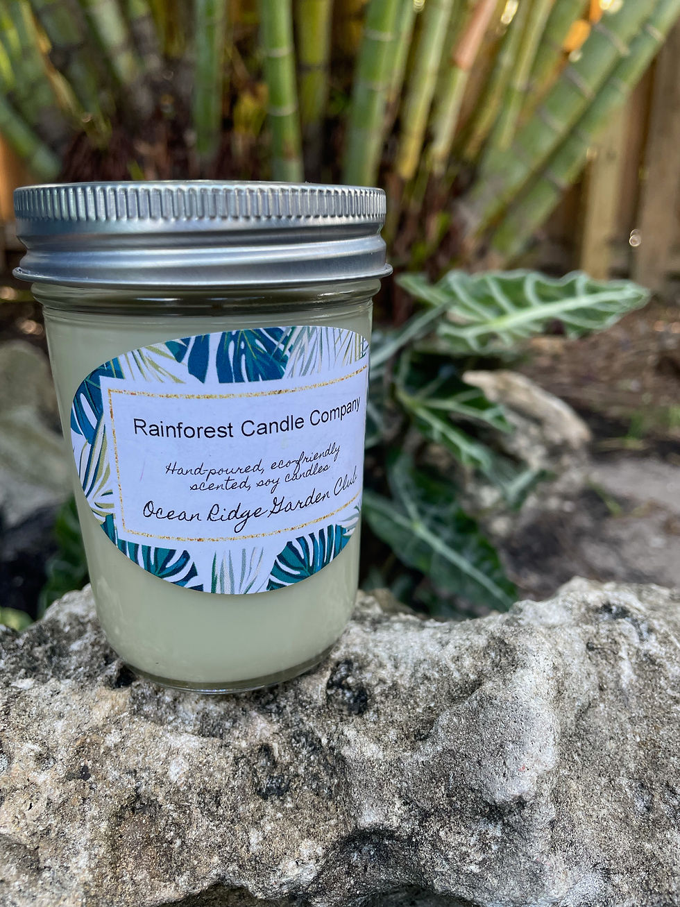 Rainforest Candle