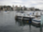 DSCN0562
