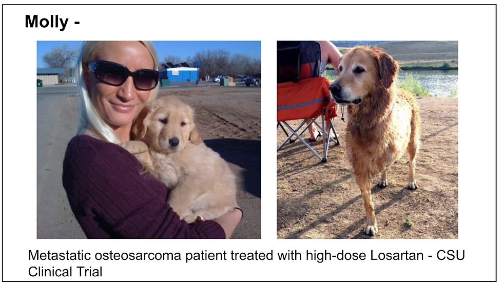 Metastatic osteosarcoma patient treated with high-dose Losartan
