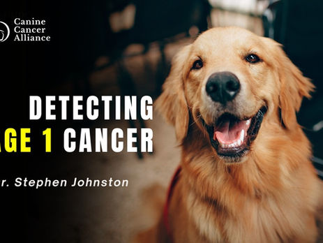 Detecting Stage 1 Cancer in Dogs