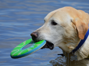 Thabiso’s Story: A Fighter and a Bringer of Joy