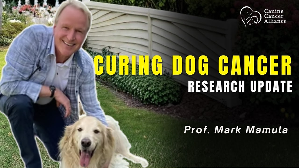 EGFR/HER2 Yale Vaccine Update